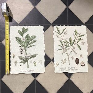 Botanical Art Prints with Green and Brown Accents